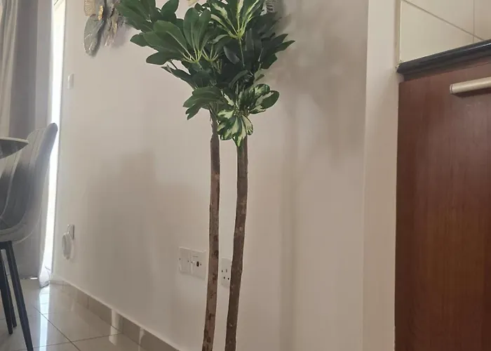 Lazuli Penthouse Center Ap 5 *